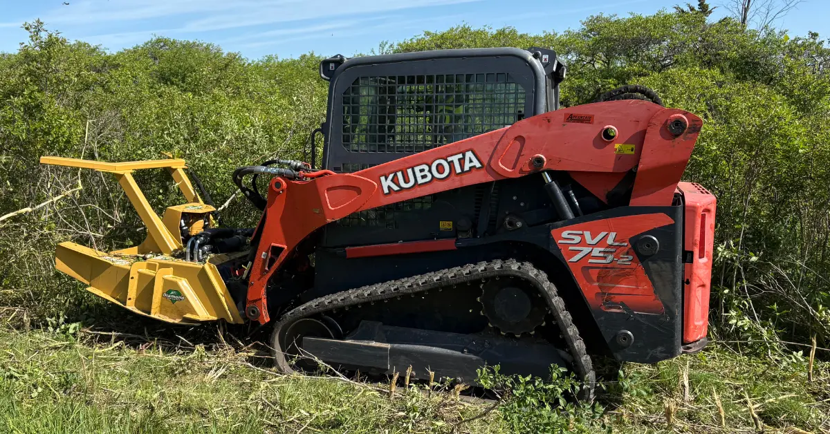 A red skid steer with a yellow forestry mulching head clearing brushy, wooded terrain for Sharpe Tree Service in Southwestern Ontario.