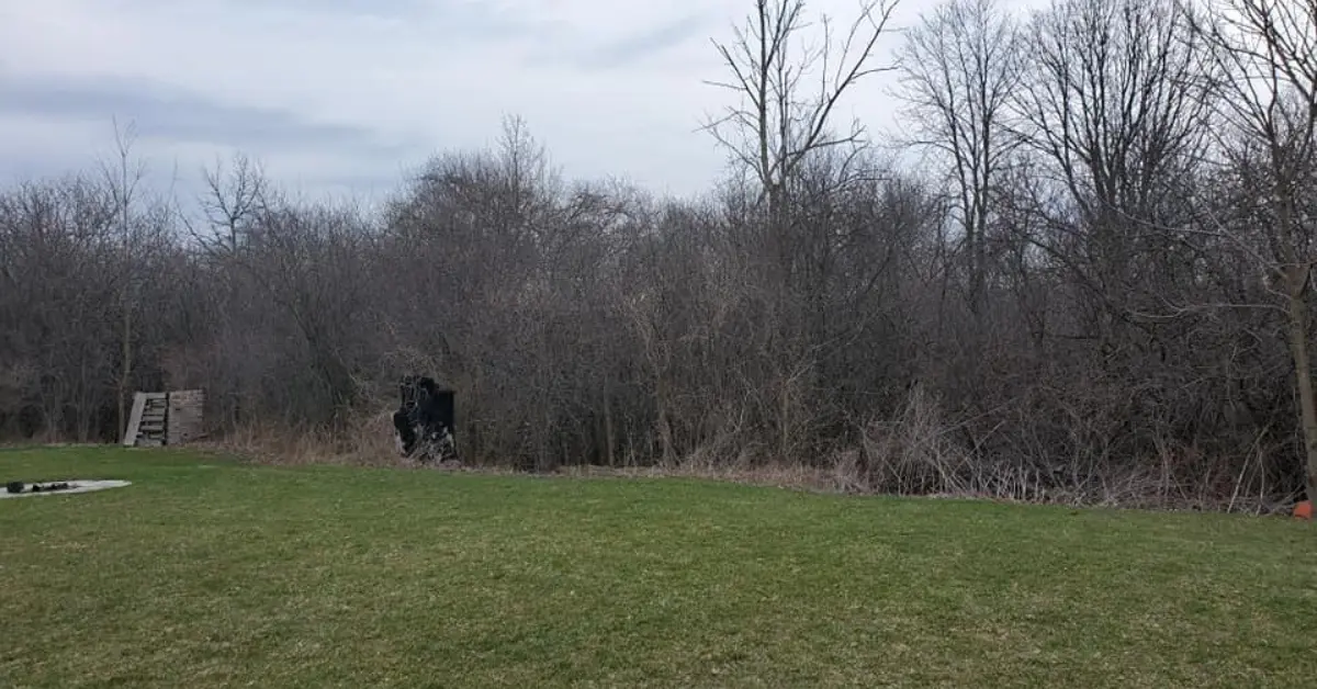 A skid steer loader at the edge of a cleared lawn during shrub removal and trimming by Sharpe Tree Service in Southwestern Ontario.