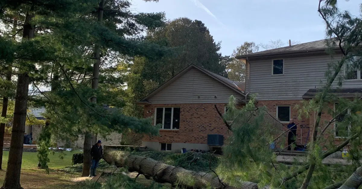 Felled limbs and logs scattered across the yard of a brick home, with a worker clearing the debris from the wooded property.
