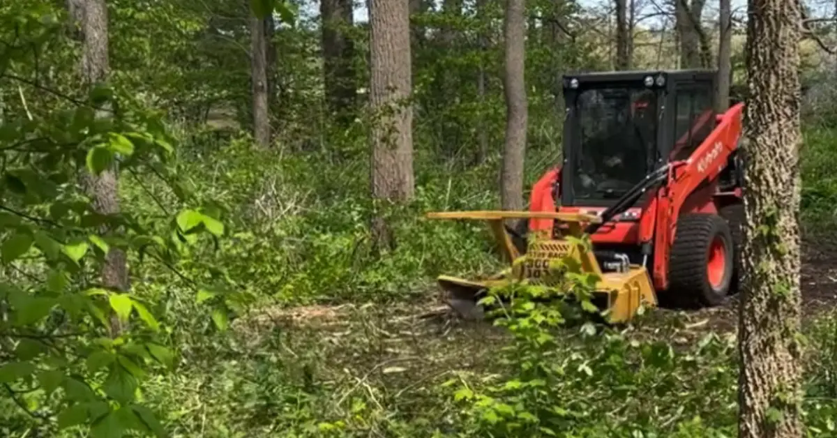 A red skid steer running a forestry mulcher head, grinding brush and vegetation in dense woodland.