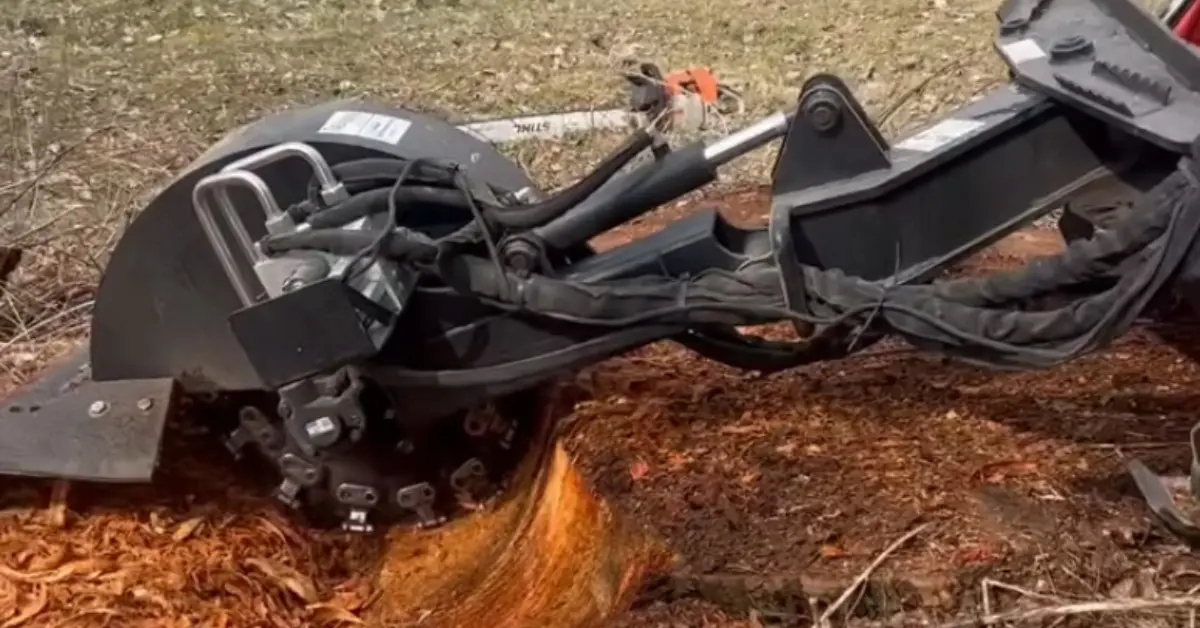 A stump grinder attachment among fresh wood chips during stump removal and grinding by Sharpe Tree Service in Southwestern Ontario.