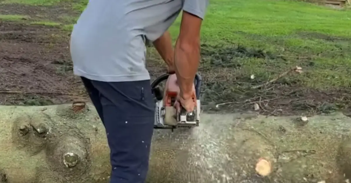 A Sharpe Tree Service worker running a chainsaw on a tree stump in a residential yard, with the soil around the stump already opened up.