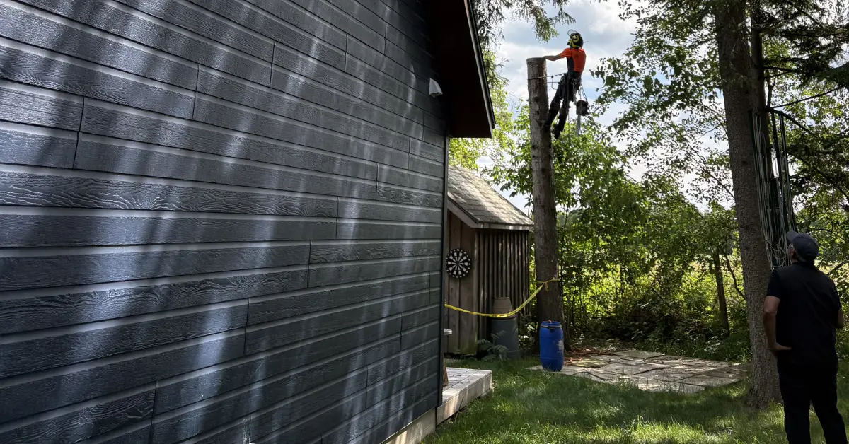 A crew member in red safety gear and harness climbs a large tree trunk positioned adjacent to a modern residence in a wooded setting. The worker performs tree trimming or removal work at height using professional safety equipment.