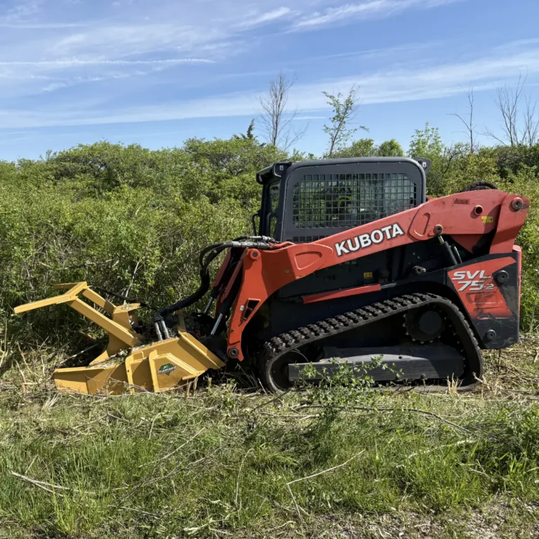 A Kubota skid steer loader equipped with a forestry mulcher attachment clears overgrown brush and vegetation from a property. Dense shrubland and dead trees are visible in the background under clear sky.