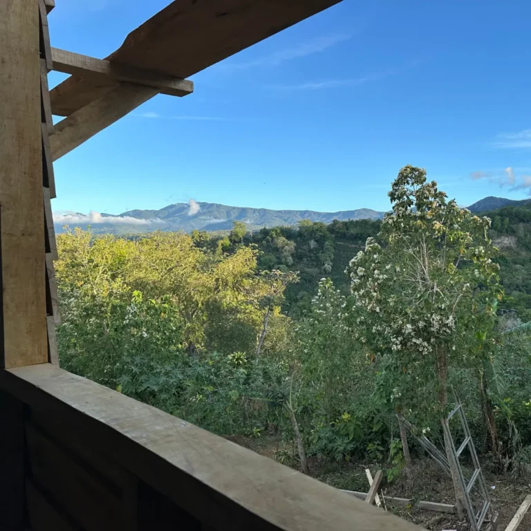 A hilltop view from a rough timber structure looking out over forested valley slopes, with flowering trees in the foreground and a mountain range under a clear blue sky.