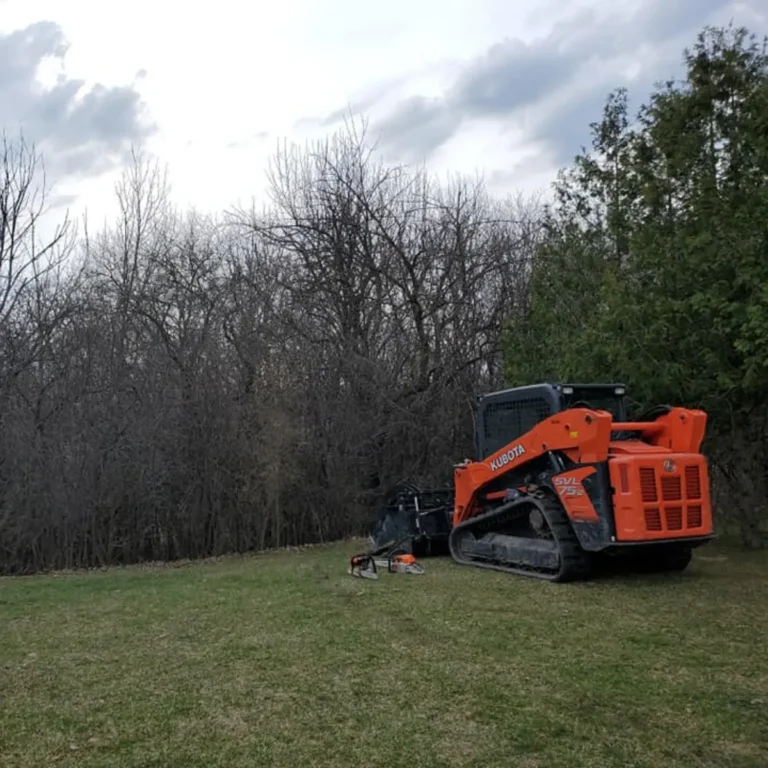 A Kubota skid steer loader sits on a cleared grassy area with bare deciduous trees in the background and a chainsaw on the ground in the foreground.