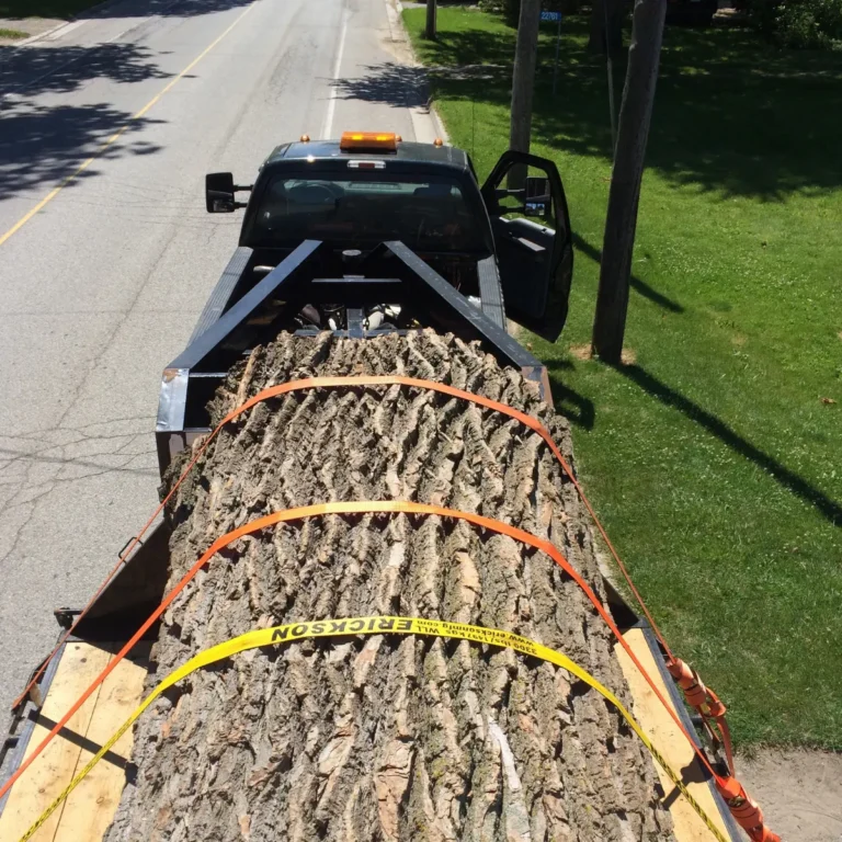 A pickup truck tows a trailer loaded with a large felled tree log secured with orange and yellow straps, parked on a residential street. The truck displays an amber warning light and yellow caution tape marks the log.