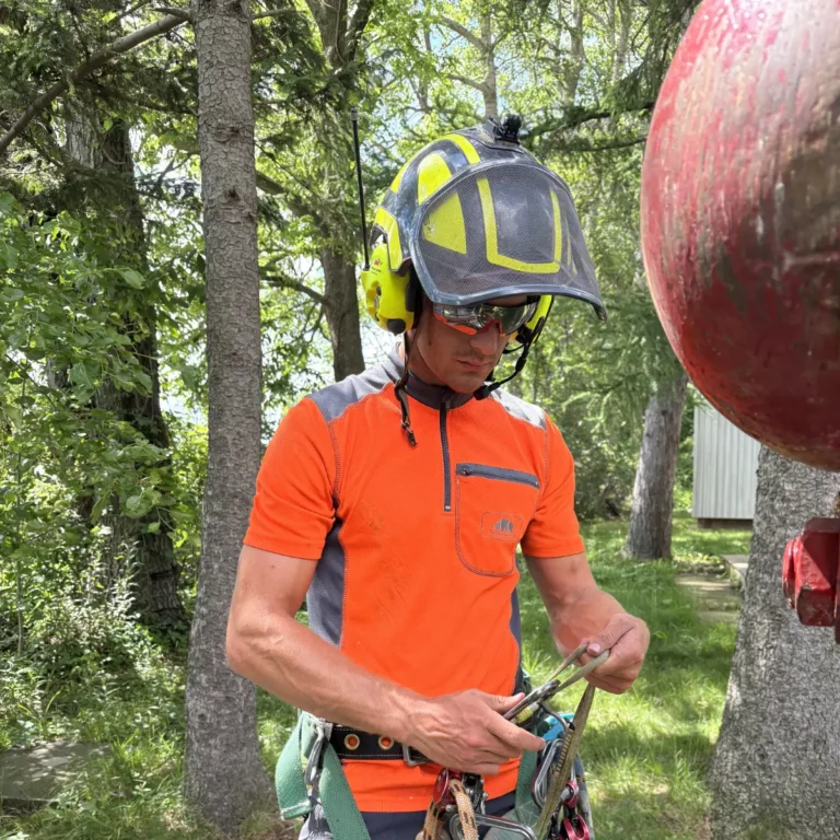 A worker in a safety helmet and bright orange work shirt holds climbing and rope equipment while standing among tall trees in a densely wooded area.