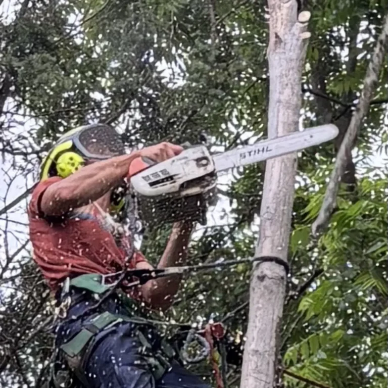 A worker wearing a safety helmet operates a chainsaw to cut through a large tree trunk, with sawdust visible and green foliage in the background.