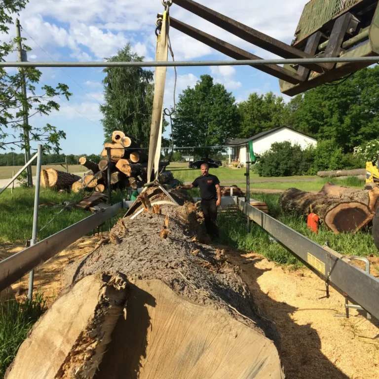 Forestry mulching equipment processes logs into wood chips under an overhead gantry crane at a rural work site, with a worker and staging area surrounded by trees and outbuildings.