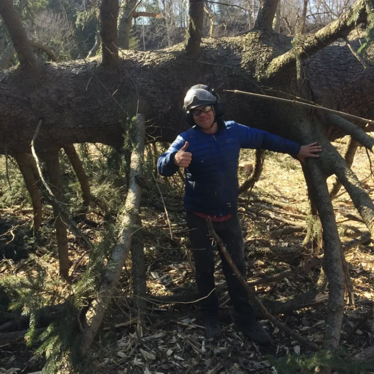 A worker wearing a white safety helmet and blue shirt stands among large fallen trees and moss-covered logs in a wooded area, giving a thumbs-up gesture. The ground is covered with tree debris and wood remnants in a forest clearing.
