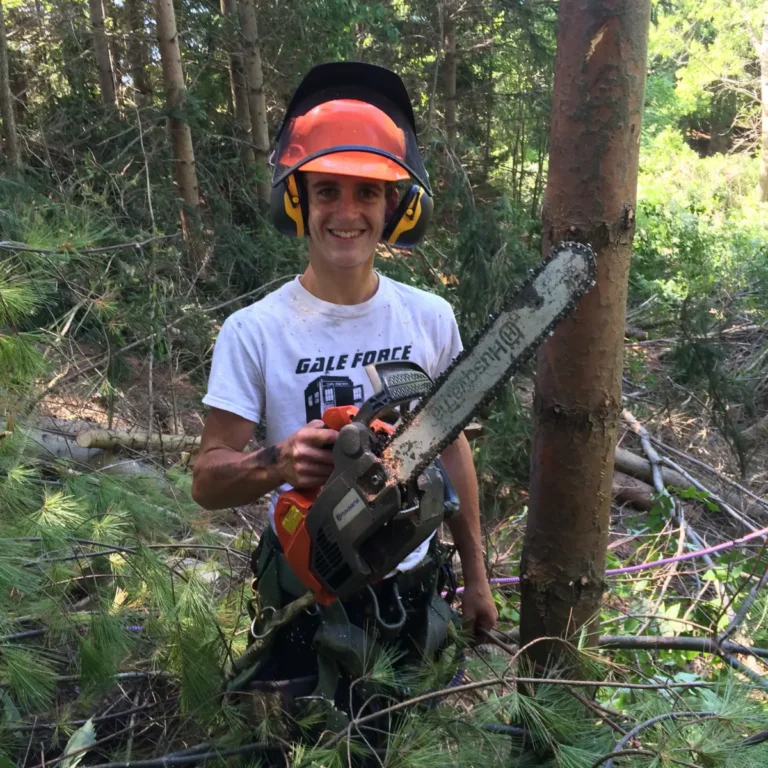 A crew member in full safety gear—orange hard hat with neck protector, yellow ear muffs, and work shirt—holds a chainsaw while standing in dense forest surrounded by tall trees and undergrowth.
